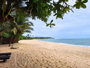 Mirissa beach