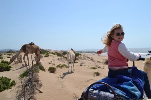 Girl riding camel pointing at camels on sand dunes next to beach