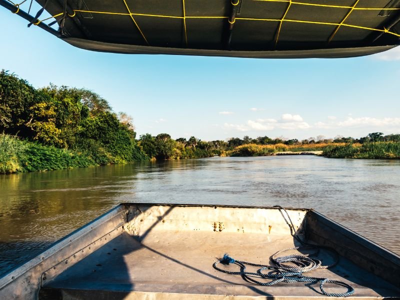 View from a boat on Rufiji River