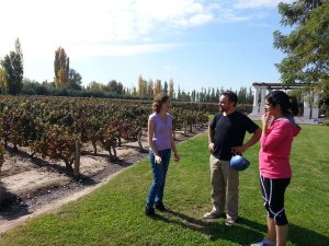 People stood next to vineyard