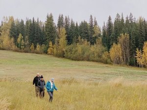 people walking in field