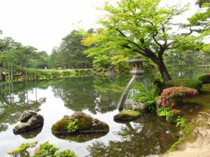 Pond with rocks and trees
