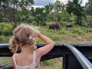 Young girl watching elephants in the wild