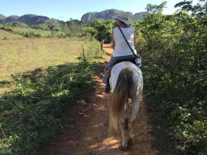 Person riding a white horse down a dirt path with green hills and fields in the background in Cuba