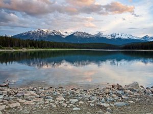 Patricia lake