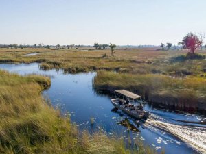 Motorboat with passengers travelling along a narrow river through a grassy wetland in Botswana