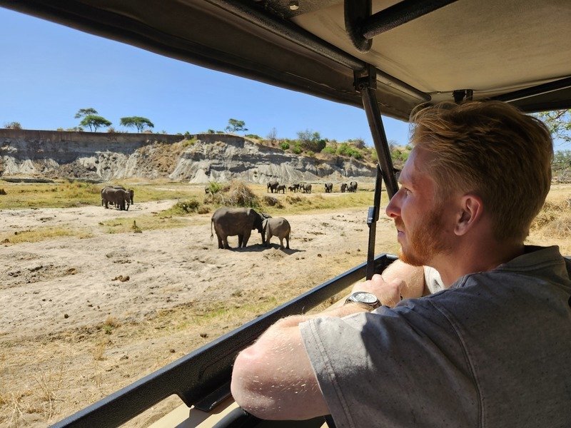 Man watching elephants from jeep safari in Tarangire