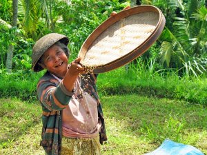 Kalibari local farmer