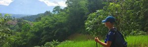 Green landscape Thailand
