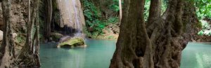 thailand national park