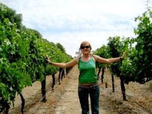 Ceri vineyard