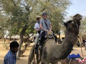 Camel ride