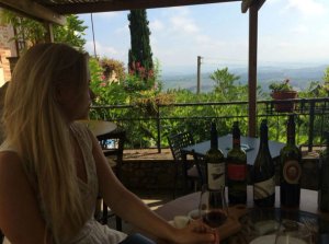 person wine tasting luscious green landscape background