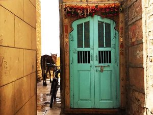 Door