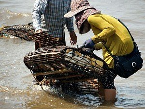 Vietnam local people fishing for crabs with baskets
