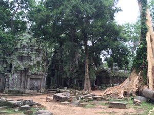 Temple ruins