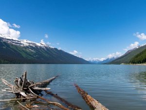 Moose Lake