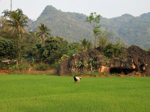 Vietnam rural mountains