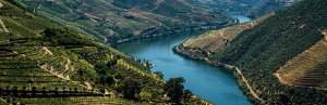 View over the Douro Valley in Portugal