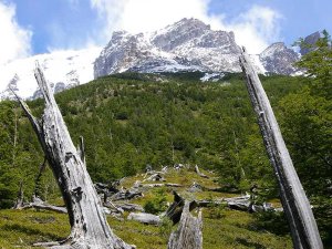 Chile Torres del Paine