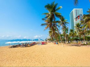 Beach will parasols, palm trees and high rise building