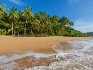 Beach in Goa, India