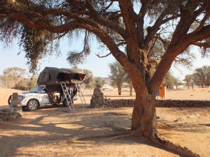 Car with rooftop tent by a tree in Sossusvlei