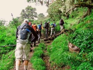 Mt Meru trekking