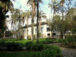 Otavalo accommodation exterior and trees
