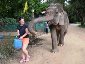 Woman with elephant