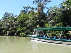 Tortuguero boat on river