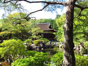 Garden Kyoto