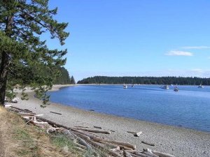 Quadra Island beach