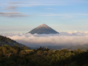 Mount Bromo rising above the clouds
