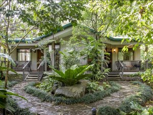 Monteverde accommodation upgrade gardens
