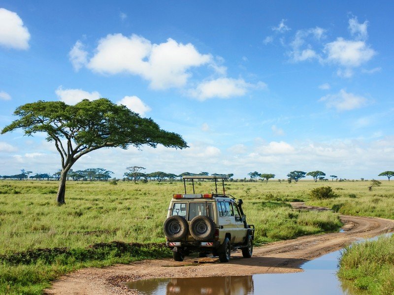 Tanzania safari