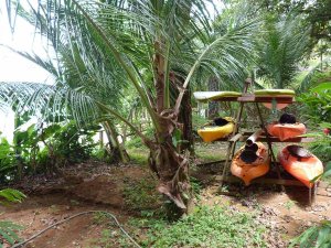 Panama Boca Chica canoes