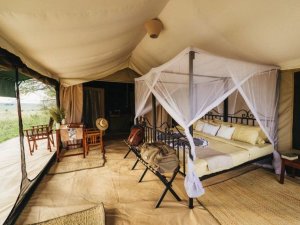 safari tent