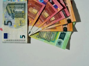 Euro notes