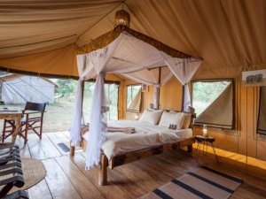 Serengeti tent bed
