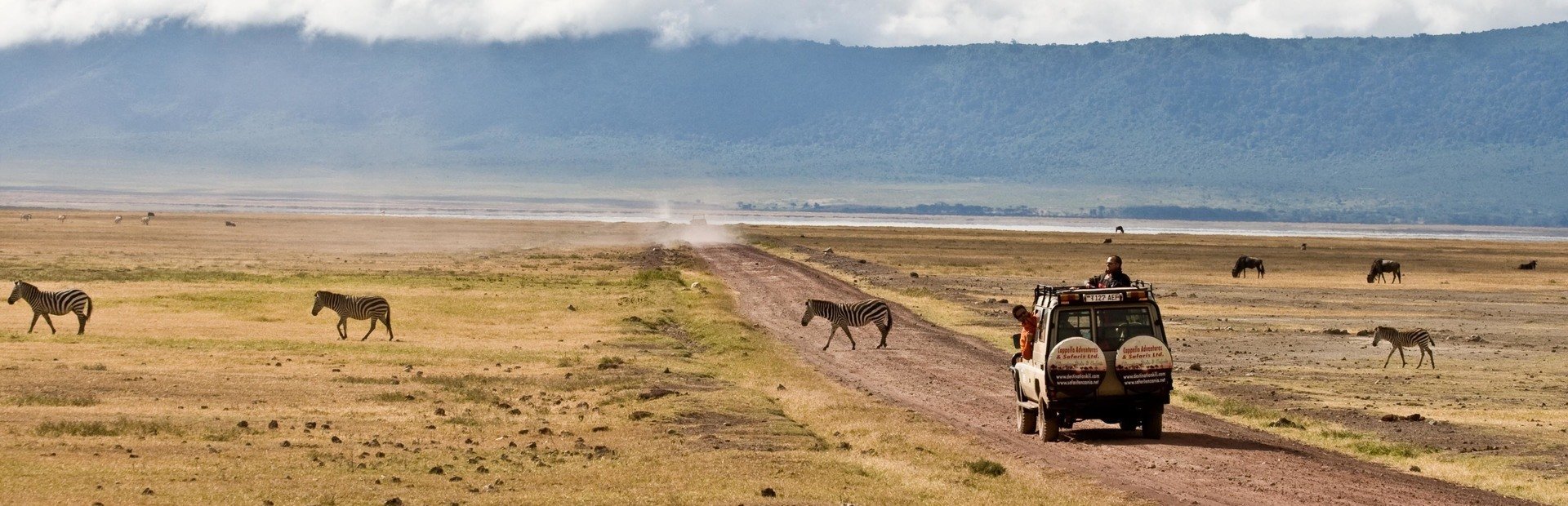 Jeep driving through landscape andzebra crossing