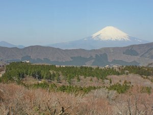 Fuji