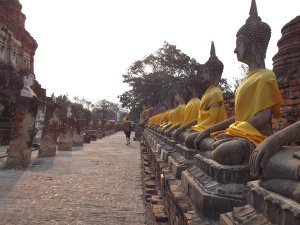 Ayutthaya buddha statues
