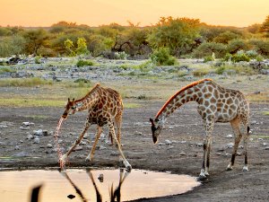 Botswana