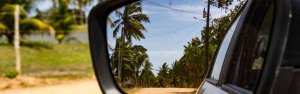 Palms in a car mirror
